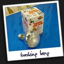 Basking-Lamp